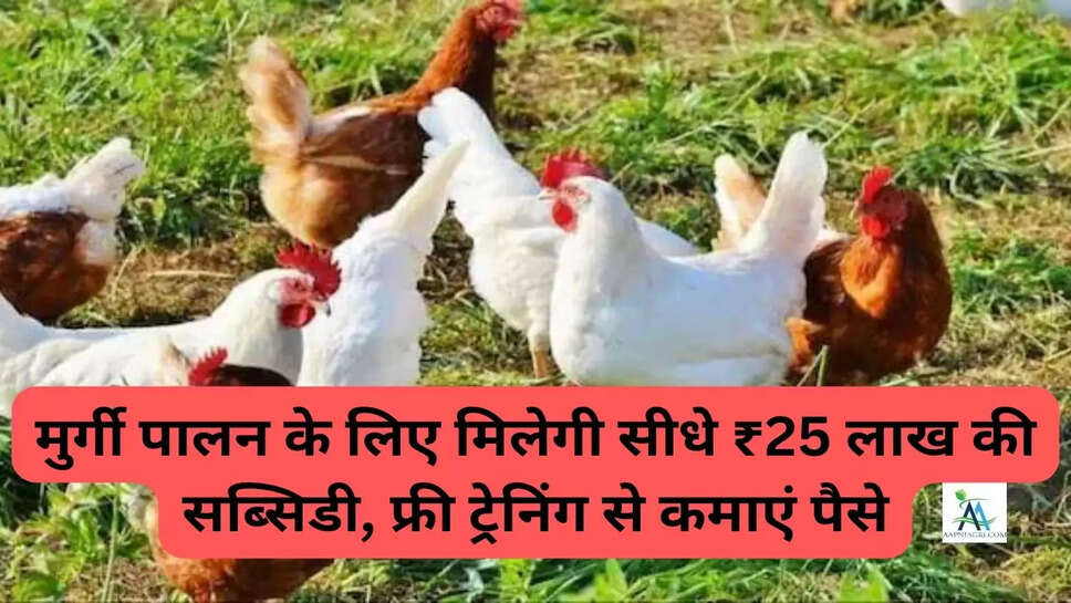 मुर्गी पालन के लिए मिलेगी सीधे ₹25 लाख की सब्सिडी, फ्री ट्रेनिंग से कमाएं पैसे