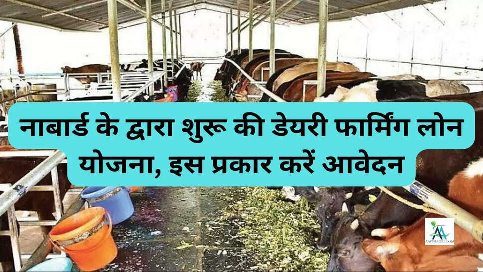 नाबार्ड के द्वारा शुरू की डेयरी फार्मिंग लोन योजना, इस प्रकार करें आवेदन