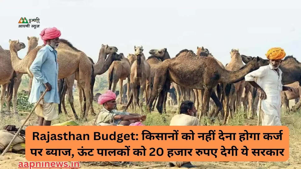 Rajasthan Budget: किसानों को नहीं देना होगा कर्ज पर ब्याज, ऊंट पालकों को 20 हजार रुपए देगी ये सरकार