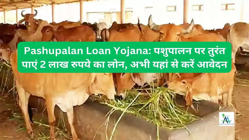 Pashupalan Loan Yojana: पशुपालन पर तुरंत पाएं 2 लाख रुपये का लोन, अभी यहां से करें आवेदन