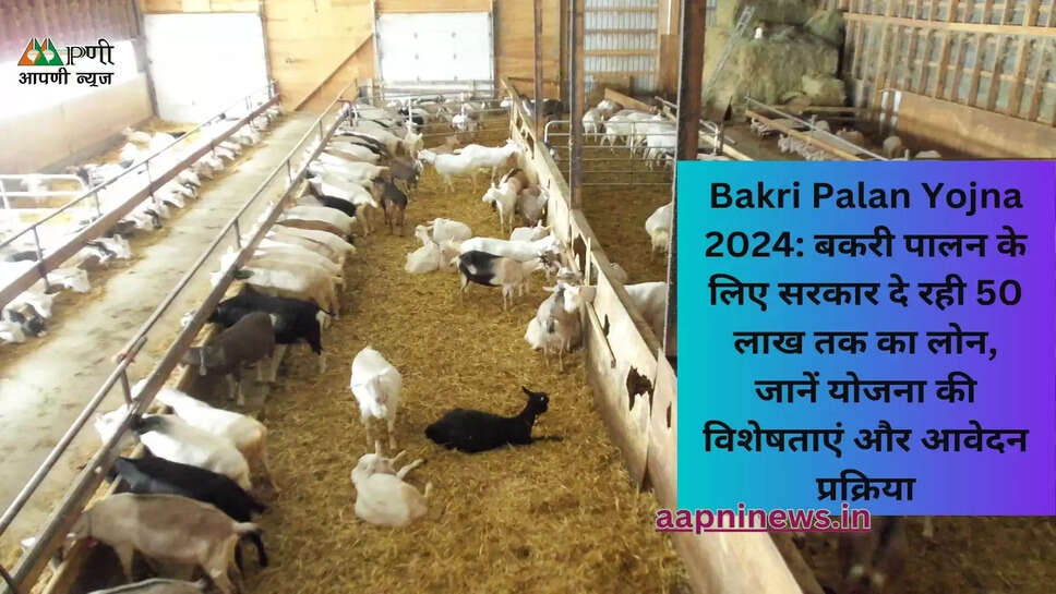 Bakri Palan Yojna 2024: किसानों के लिए वरदान, 50 लाख तक का लोन और सब्सिडी का लाभ उठाएं!