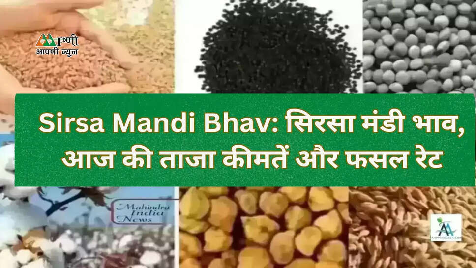 Sirsa Mandi Bhav: सिरसा मंडी भाव, आज की ताजा कीमतें और फसल रेट