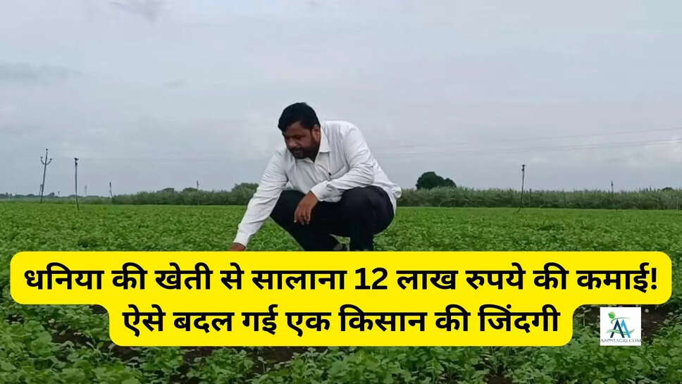 धनिया की खेती से सालाना 12 लाख रुपये की कमाई! ऐसे बदल गई एक किसान की जिंदगी