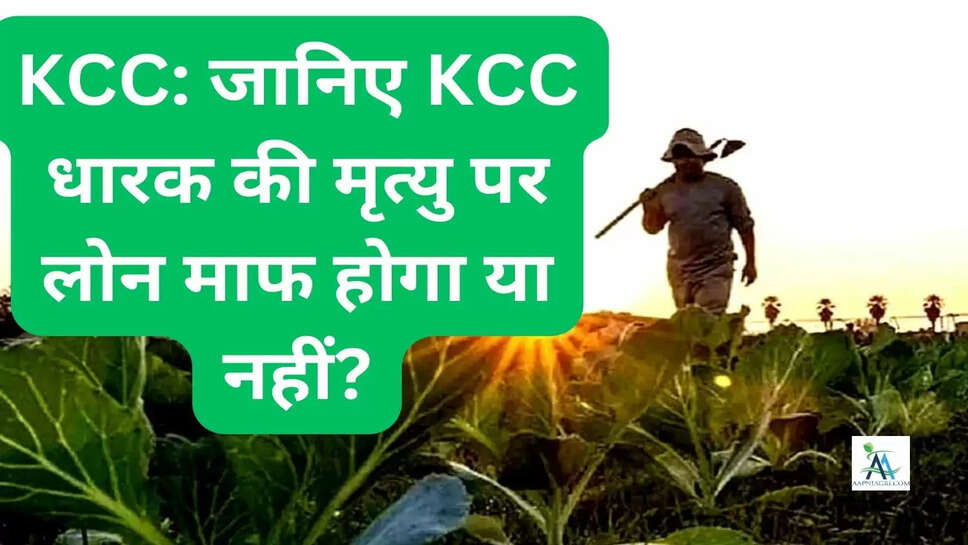 KCC: जानिए KCC धारक की मृत्यु पर लोन माफ होगा या नहीं?
