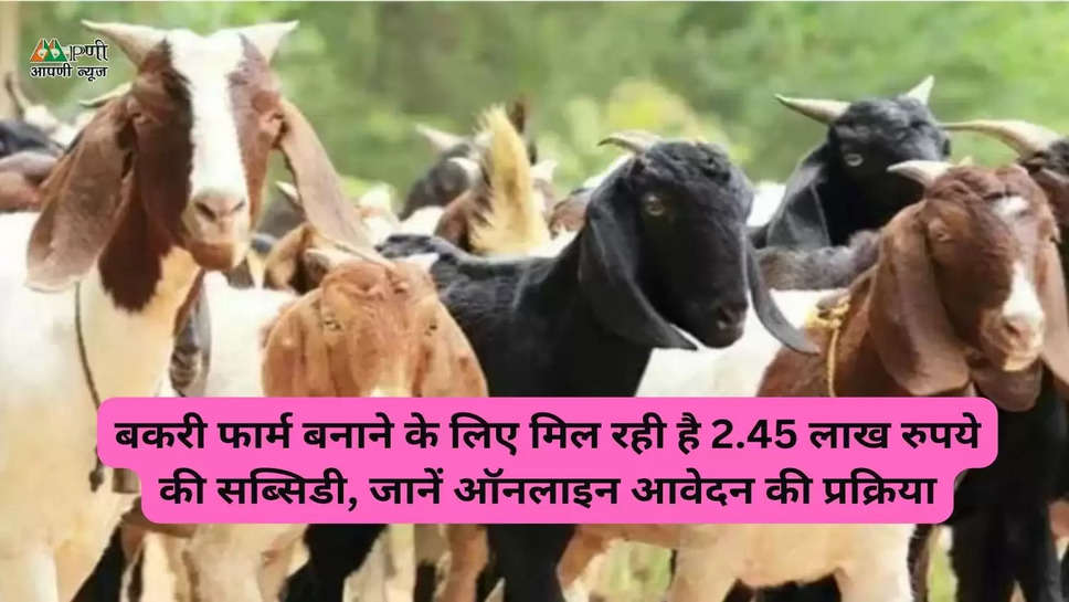 बकरी फार्म बनाने के लिए मिल रही है 2.45 लाख रुपये की सब्सिडी, जानें ऑनलाइन आवेदन की प्रक्रिया
