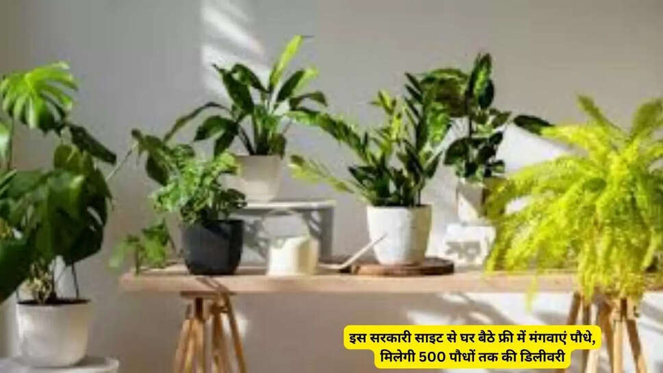 इस सरकारी साइट से घर बैठे फ्री में मंगवाएं पौधे, मिलेगी 500 पौधों तक की डिलीवरी
